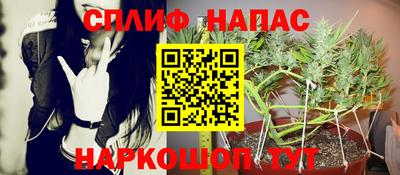 молекула духа Татарск