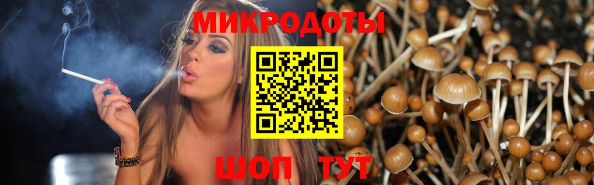 Псилоцибиновые грибы прущие грибы  Вход с VPN  Барнаул 